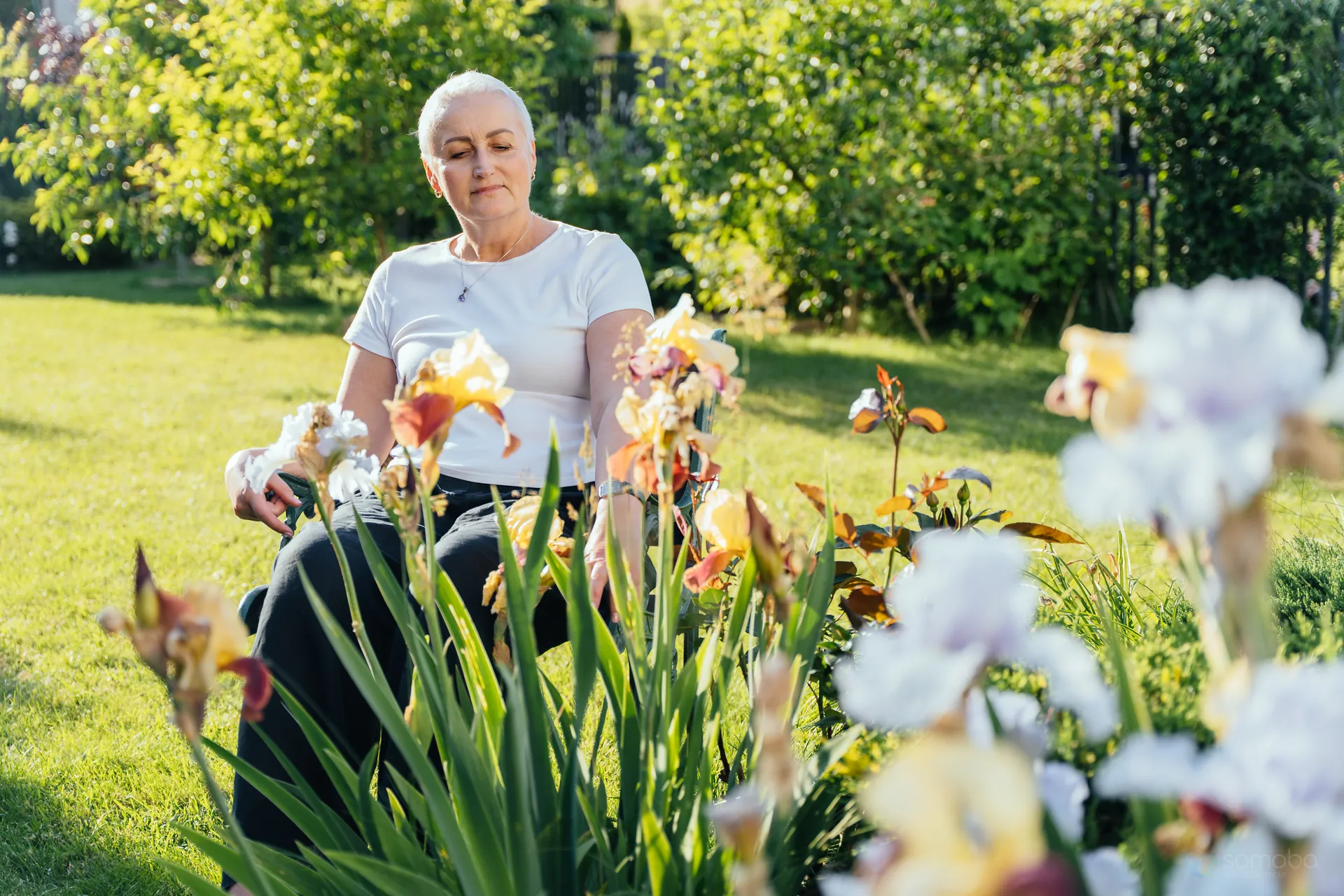 femme adulte, fleurs, jardin, extérieur
