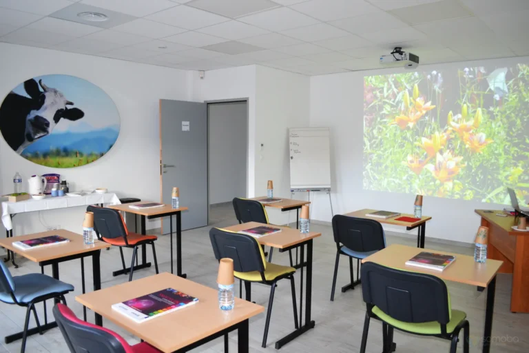 Comment devenir formateur Snoezelen ?