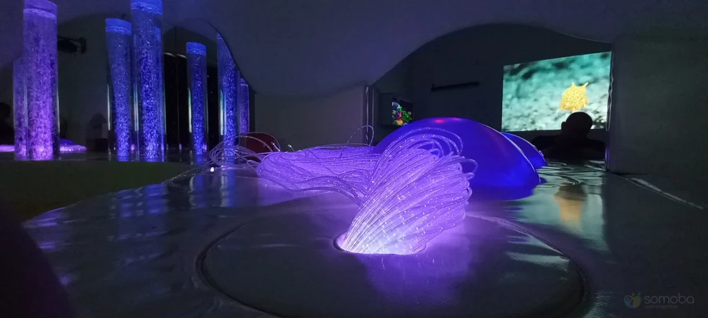 fibre optique, colonnes à bulles, dôme lumineux, projection murale océan 