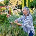 Quelles plantes choisir pour créer un jardin sensoriel ?